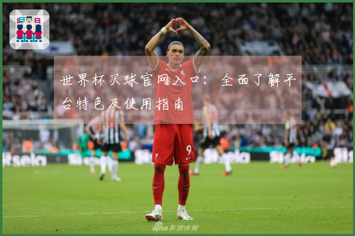 世界杯买球官网入口：全面了解平台特色及使用指南