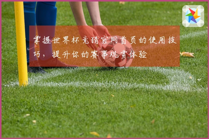 掌握世界杯竞猜官网首页的使用技巧,提升你的赛事观赏体验