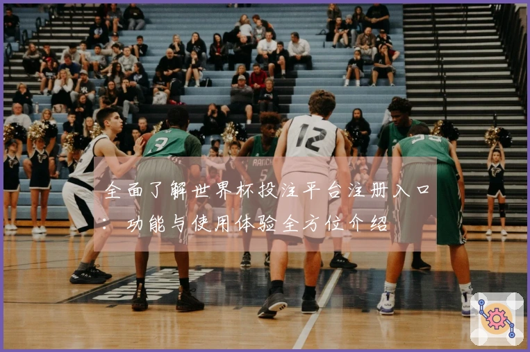 全面了解世界杯投注平台注册入口：功能与使用体验全方位介绍