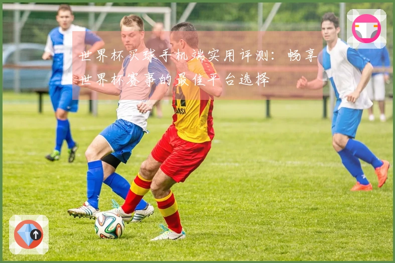 世界杯买球手机端实用评测：畅享世界杯赛事的最佳平台选择