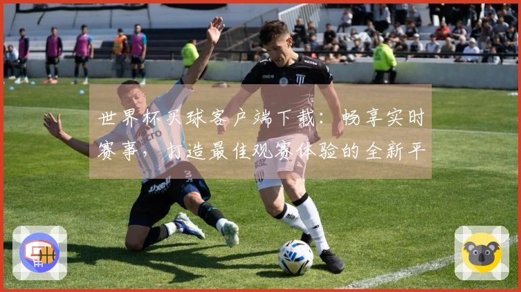 世界杯买球客户端下载:畅享实时赛事,打造最佳观赛体验的全新平台介绍
