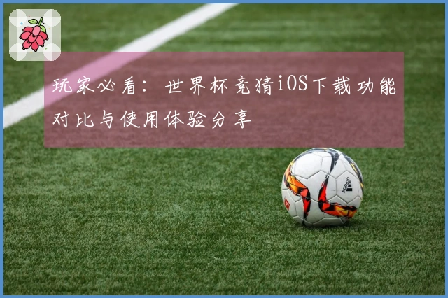 玩家必看：世界杯竞猜iOS下载功能对比与使用体验分享