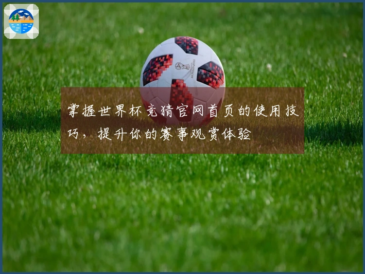 掌握世界杯竞猜官网首页的使用技巧，提升你的赛事观赏体验