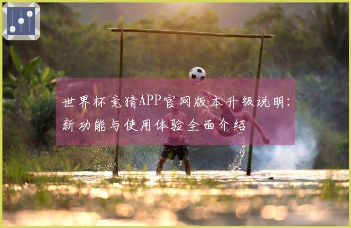 世界杯竞猜APP官网版本升级说明:新功能与使用体验全面介绍